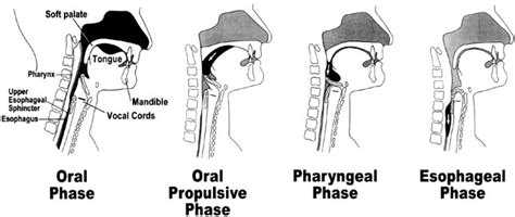 throatpie definition